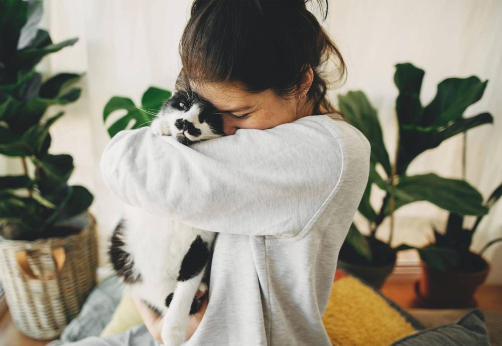 6233069f4e9b2_images_large copie 6233069f4e9b2_images_large copie